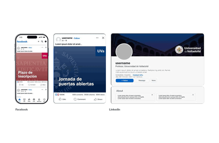 Formatos para redes sociales
